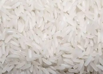 Local Rice Paddy Meal